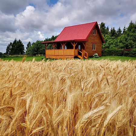 Dorotkowy Domek Wielowies  Kültér fotó